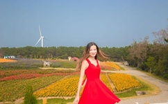 青青青草免费超碰